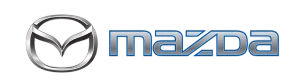 Logo Cliente CCTV México